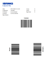 Load image into Gallery viewer, LODGEMENT FORMS - IRELAND ONLY