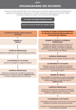 Load image into Gallery viewer, LOVISA INCIDENT REPORT FLOW CHART