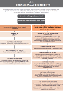 LOVISA INCIDENT REPORT FLOW CHART