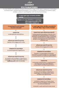 LOVISA INCIDENT REPORT FLOW CHART