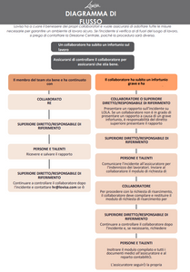 LOVISA INCIDENT REPORT FLOW CHART