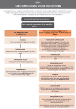 Load image into Gallery viewer, LOVISA INCIDENT REPORT FLOW CHART