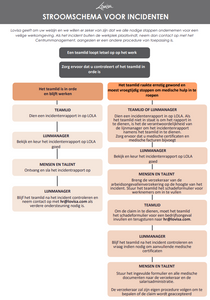 LOVISA INCIDENT REPORT FLOW CHART