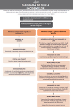 Load image into Gallery viewer, LOVISA INCIDENT REPORT FLOW CHART