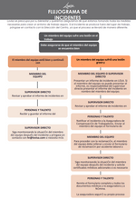 Load image into Gallery viewer, LOVISA INCIDENT REPORT FLOW CHART