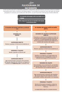 LOVISA INCIDENT REPORT FLOW CHART